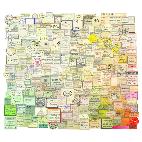 Idea-ology Tim Holtz Curator Snippets Ephemera Pack (TH94152) Idea-ology Tim Holtz Curator Snippets Ephemera Pack (TH94152)