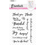 Studio Light Sentiments/Wishes Thanks Clear Stamps (SL-ES-STAMP178) (OUTLET)