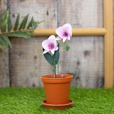 Crafter's Companion Arts 'n Flowers Garden Florals Metal Dies Orchid (SCC-AF-GFL-MD-ORCH) (OUTLET) Crafter's Companion Arts 'n Flowers Garden Florals Metal Dies Orchid (SCC-AF-GFL-MD-ORCH) (OUTLET)