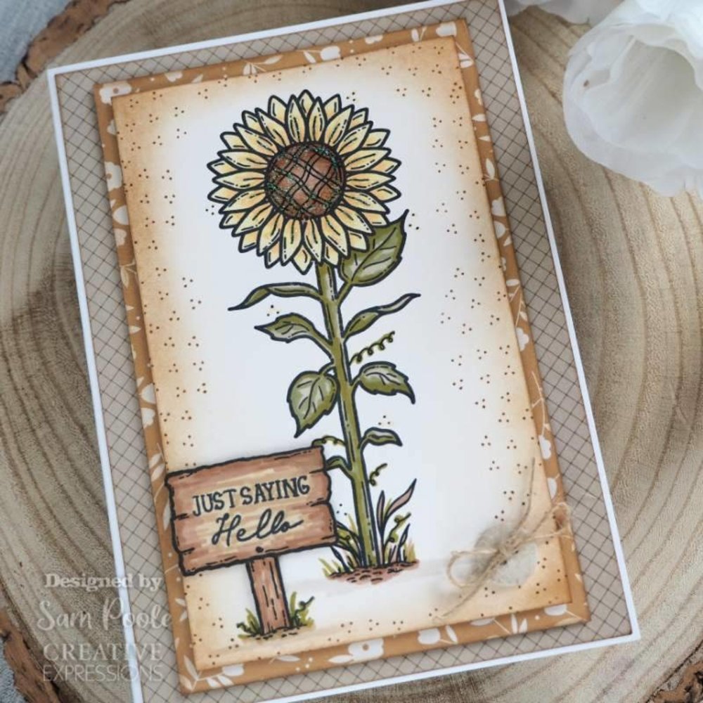 Creative Expressions Sam Poole Clear Stamp A6 Sunshine (CEC990) (OUTLET)