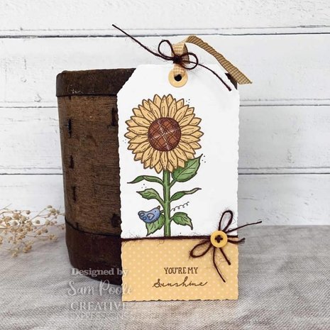 Creative Expressions Sam Poole Clear Stamp A6 Sunshine (CEC990) (OUTLET)