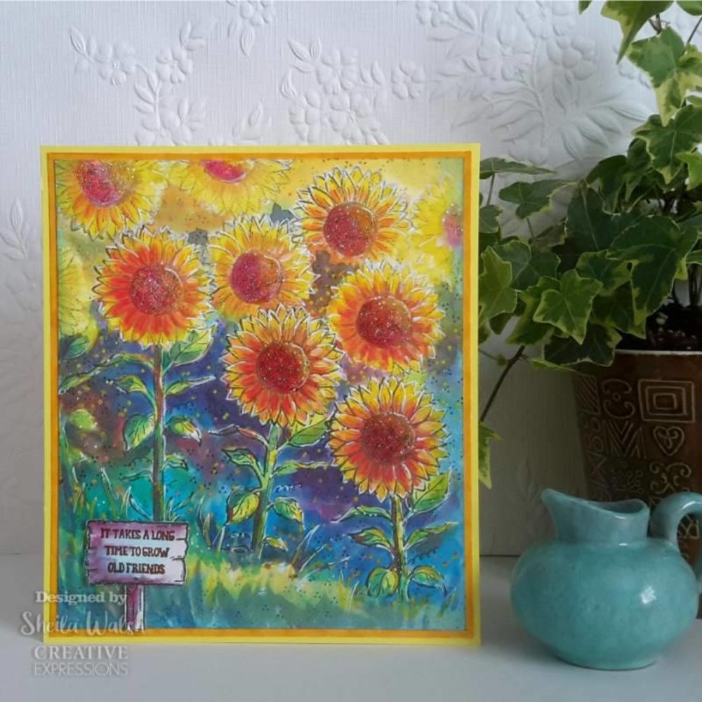 Creative Expressions Sam Poole Clear Stamp A6 Sunshine (CEC990) (OUTLET)