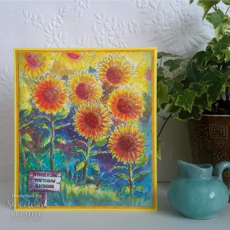 Creative Expressions Sam Poole Clear Stamp A6 Sunshine (CEC990) (OUTLET)