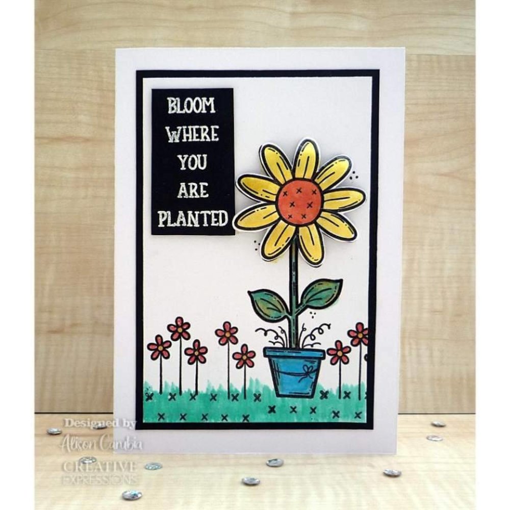Creative Expressions Sam Poole Clear Stamp A6 Daisy Bloom (CEC993) (OUTLET) Creative Expressions Sam Poole Clear Stamp A6 Daisy Bloom (CEC993) (OUTLET)