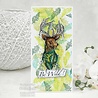 Creative Expressions Designer Boutique Doodle Deer A6 Clear Stamps (UMSDB101) (DISCONTINUED) Creative Expressions Designer Boutique Doodle Deer A6 Clear Stamps (UMSDB101) (DISCONTINUED)