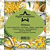Paper Favourites Mimosa Slim Paper Pack (PFS048) (OUTLET)