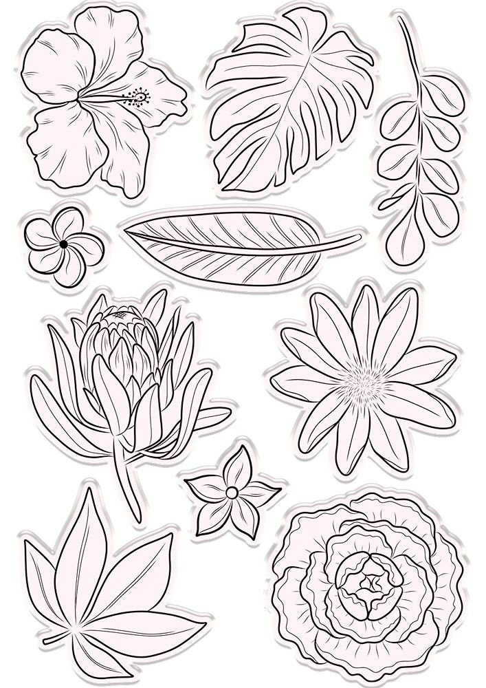 Crafter's Companion Hummingbird Stamp & Die Fragrant Florals (NG-HB-STD-FRFL) (OUTLET) Crafter's Companion Hummingbird Stamp & Die Fragrant Florals (NG-HB-STD-FRFL) (OUTLET)