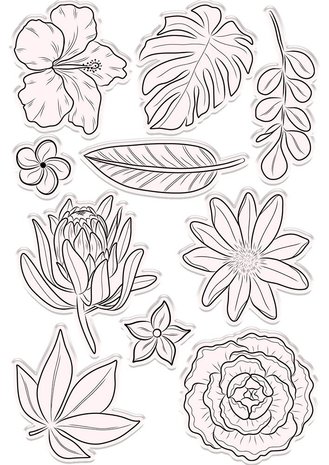 Crafter's Companion Hummingbird Stamp & Die Fragrant Florals (NG-HB-STD-FRFL) (OUTLET) Crafter's Companion Hummingbird Stamp & Die Fragrant Florals (NG-HB-STD-FRFL) (OUTLET)