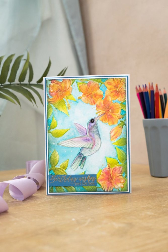 Crafter's Companion Hummingbird A4 Luxury Linen Cardstock Pack (NG-HB-LINEN) (OUTLET) Crafter's Companion Hummingbird A4 Luxury Linen Cardstock Pack (NG-HB-LINEN) (OUTLET)
