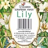 Decorer Lily Mini Paper Pack (DECOR-M102) (OUTLET) Decorer Lily Mini Paper Pack (DECOR-M102) (OUTLET)