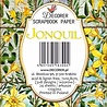 Decorer Jonquil Mini Paper Pack (DECOR-M103) (OUTLET) Decorer Jonquil Mini Paper Pack (DECOR-M103) (OUTLET)