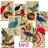 Decorer Bird Mini Paper Pack (DECOR-M99) (OUTLET) Decorer Bird Mini Paper Pack (DECOR-M99) (OUTLET)