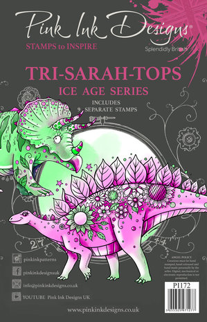 Pink Ink Designs Tri-Sarah-Tops A5 Clear Stamp (PI172) (OUTLET)
