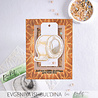 Picket Fence Studios Duct Tape Can Fix Anything 3x4 Inch Clear Stamps (S-205) (OUTLET) Picket Fence Studios Duct Tape Can Fix Anything 3x4 Inch Clear Stamps (S-205) (OUTLET)
