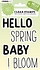 Sweet Stories Clear Stamps Hello Spring Quotes (SL-SS-STAMP214) (OUTLET) Sweet Stories Clear Stamps Hello Spring Quotes (SL-SS-STAMP214) (OUTLET)