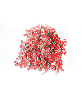 Dress My Craft Shaker Slices Watermelon 8g (DMCS3778) (OUTLET)