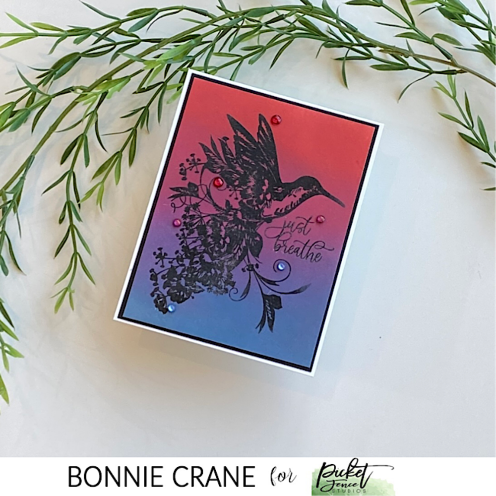 Picket Fence Studios A Hummingbird's Song 6x6 Inch Clear Stamps (F-165) (OUTLET)