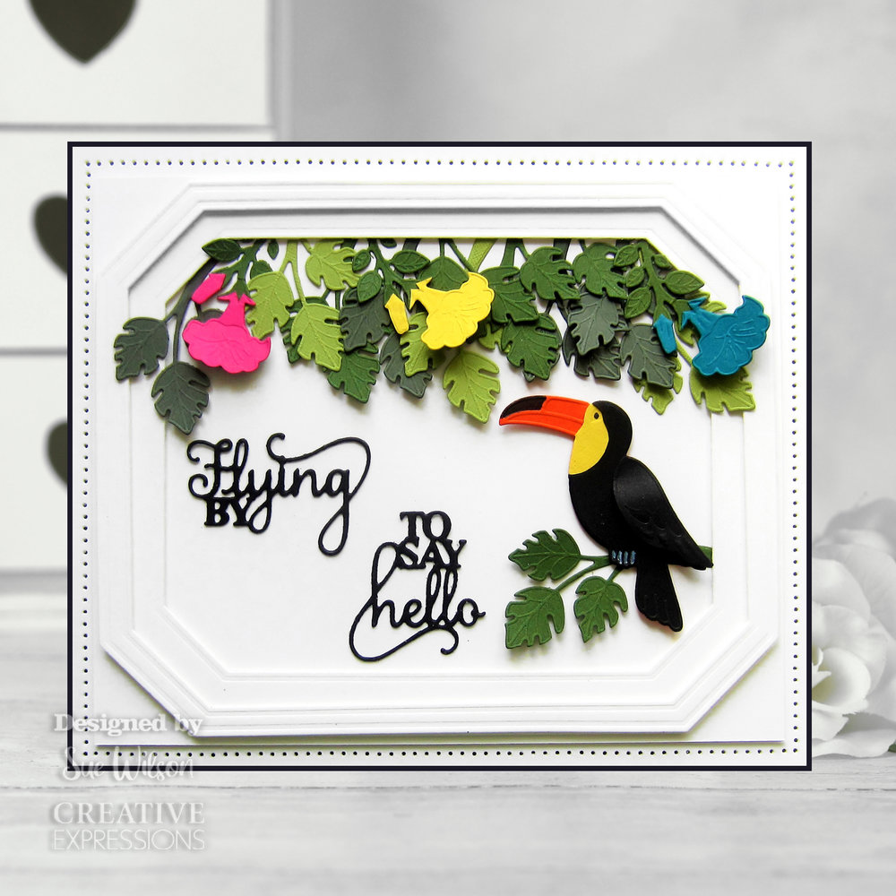 Creative Expressions Sue Wilson Craft Die Necessities Hummingbird (CED23050) (OUTLET) Creative Expressions Sue Wilson Craft Die Necessities Hummingbird (CED23050) (OUTLET)