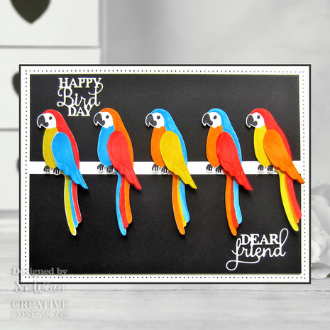 Creative Expressions Sue Wilson Craft Die Necessities Parrot (CED23052) (OUTLET) Creative Expressions Sue Wilson Craft Die Necessities Parrot (CED23052) (OUTLET)