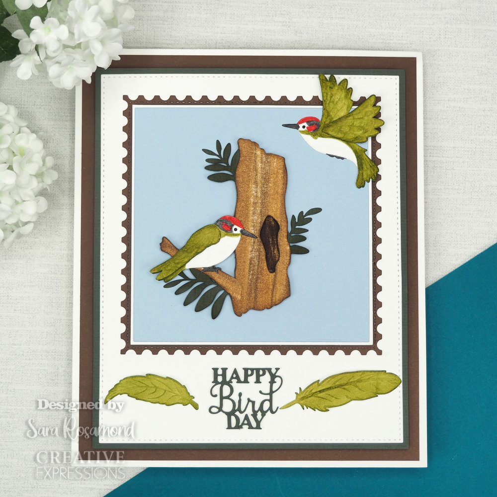 Creative Expressions Sue Wilson Craft Die Necessities Parrot (CED23052) (OUTLET) Creative Expressions Sue Wilson Craft Die Necessities Parrot (CED23052) (OUTLET)