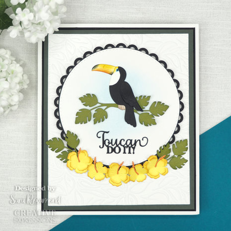 Creative Expressions Sue Wilson Craft Die Necessities Toucan (CED23051) (OUTLET) Creative Expressions Sue Wilson Craft Die Necessities Toucan (CED23051) (OUTLET)
