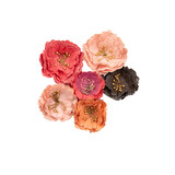 Prima Marketing Strawberry Milkshake Flowers Strawberry Kisses (659516) (DISCONTINUED)