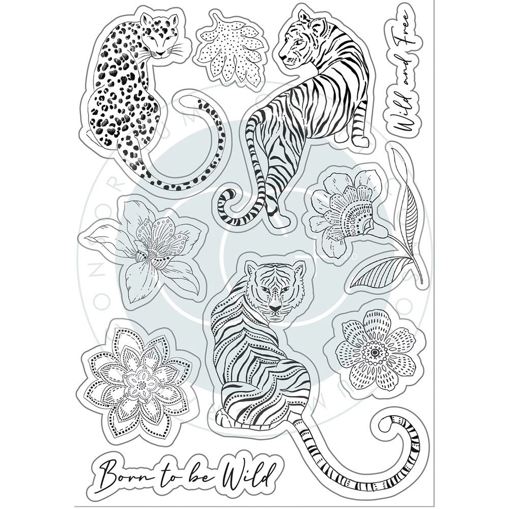Craft Consortium Enchanted Jungle Clear Stamps (CCSTMP080) (DISCONTINUED)
