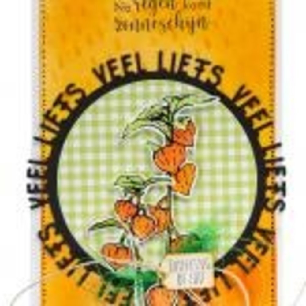 Marianne Design Clear Stamps Tiny's Border Lantern Plant (TC0901) (DISCONTINUED)