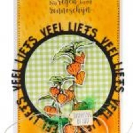 Marianne Design Clear Stamps Tiny's Border Lantern Plant (TC0901) (DISCONTINUED)