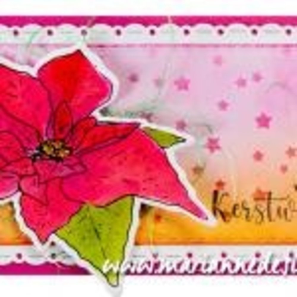 Marianne Design Clear Stamp & Die Tiny's Flowers Poinsettia (TC0902) (DISCONTINUED)