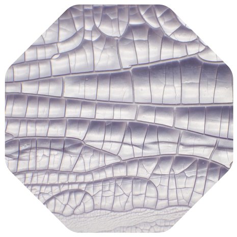 Nuvo Crackle Mousse Misty Mauve (1393N) (DISCONTINUED) Nuvo Crackle Mousse Misty Mauve (1393N) (DISCONTINUED)