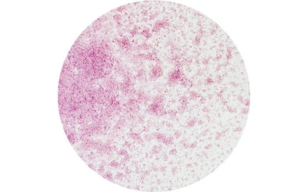 Nuvo Mica Mist Oriental Fuchsia (564N) (DISCONTINUED) Nuvo Mica Mist Oriental Fuchsia (564N) (DISCONTINUED)