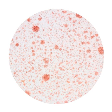 Nuvo Mica Mist Crimson Velvet (570n) (DISCONTINUED)