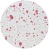 Nuvo Mica Mist Turkish Rose (573N) (DISCONTINUED) Nuvo Mica Mist Turkish Rose (573N) (DISCONTINUED)