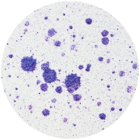 Nuvo Mica Mist Violet Lustre (575N) (DISCONTINUED)