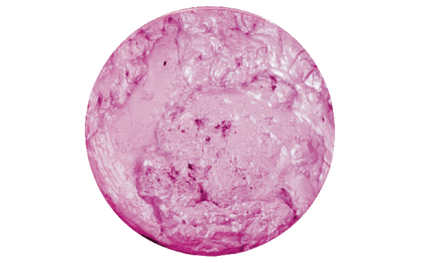 Nuvo Embellishment Mousse Peony Pink (800N) (DISCONTINUED)