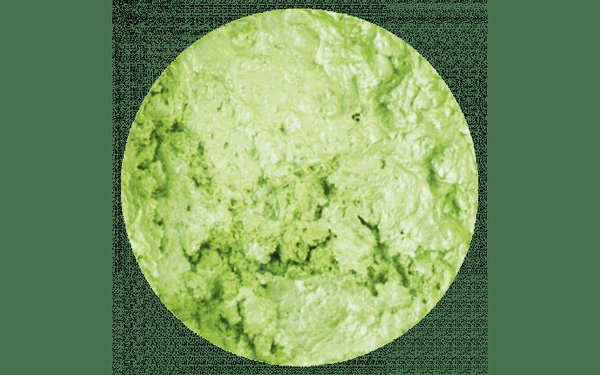 Nuvo Embellishment Mousse Spring Green (808N) (DISCONTINUED)