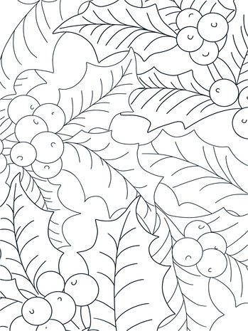 Crafter's Companion Card Front Colouring Pads Natures Christmas (CC-COLPAD-NACH) (OUTLET) Crafter's Companion Card Front Colouring Pads Natures Christmas (CC-COLPAD-NACH) (OUTLET)