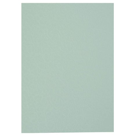 Tonic Craft Perfect Speciality Card A4 Miami Mint (9850e) (DISCONTINUED) Tonic Craft Perfect Speciality Card A4 Miami Mint (9850e) (DISCONTINUED)