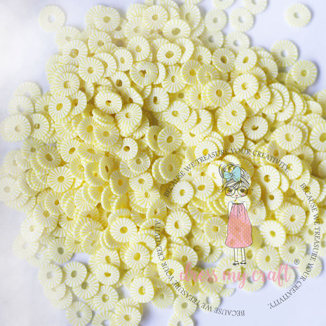 Dress My Craft Shaker Slices Pineapple Slices 8g (DMCS4075) (OUTLET) Dress My Craft Shaker Slices Pineapple Slices 8g (DMCS4075) (OUTLET)