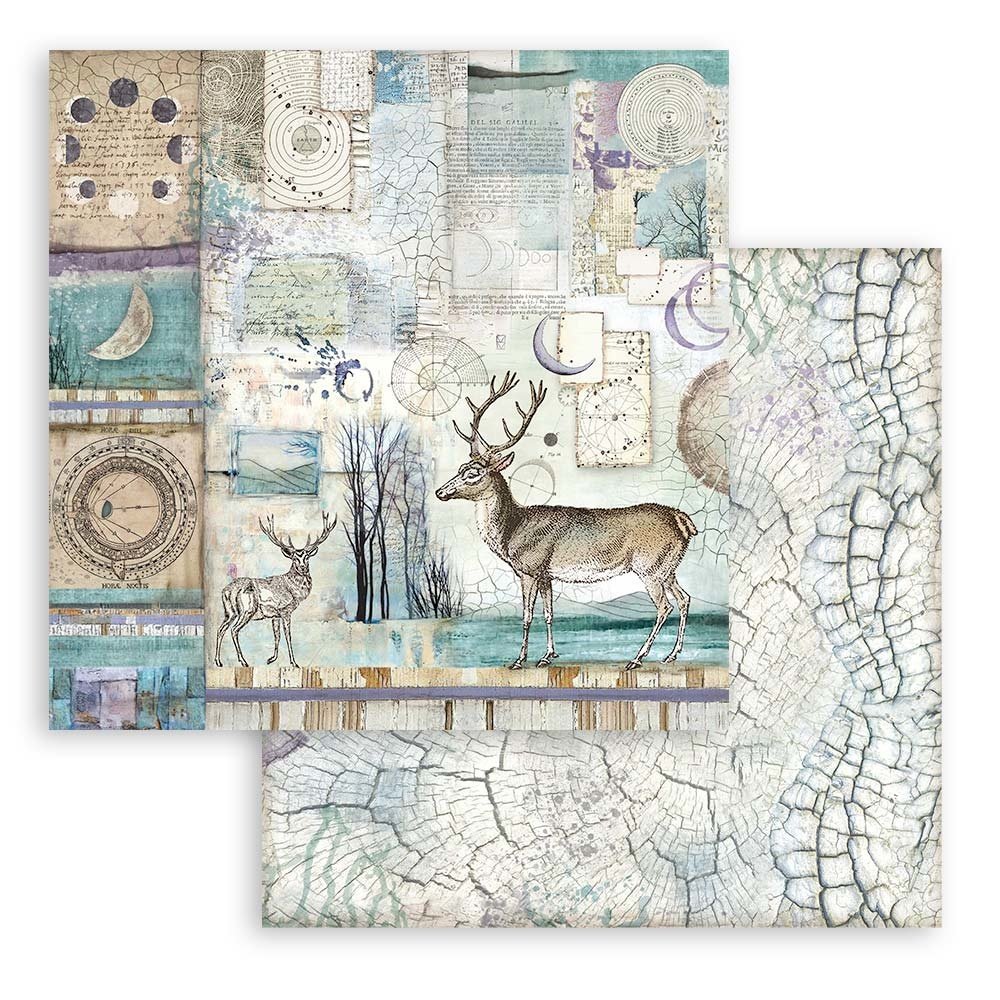 Stamperia Cosmos Infinity 8x8 Inch Paper Pack (SBBS67) Stamperia Cosmos Infinity 8x8 Inch Paper Pack (SBBS67)