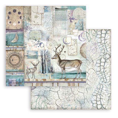 Stamperia Cosmos Infinity 8x8 Inch Paper Pack (SBBS67) Stamperia Cosmos Infinity 8x8 Inch Paper Pack (SBBS67)