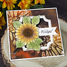 Woodware Sunflower Rays Clear Stamps (JGS835) (OUTLET) Woodware Sunflower Rays Clear Stamps (JGS835) (OUTLET)