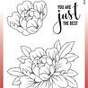 Woodware Just The Best Clear Stamps (JGS831) (OUTLET) Woodware Just The Best Clear Stamps (JGS831) (OUTLET)