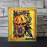 Woodware Pumpkin Flowers Clear Stamps (JGS839) (OUTLET) Woodware Pumpkin Flowers Clear Stamps (JGS839) (OUTLET)