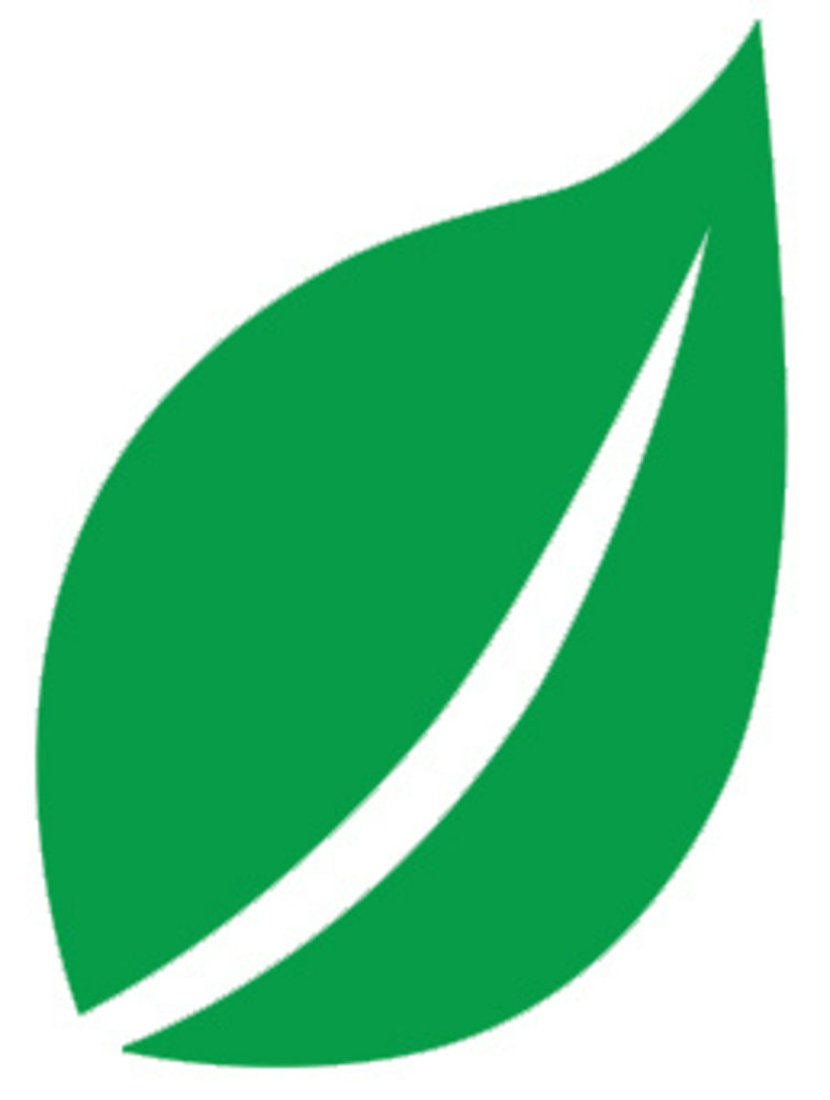 Aladine Izink Natural Deco Paint Vert (80891) (OUTLET)