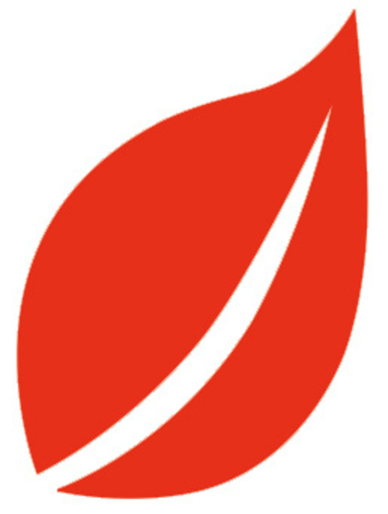 Aladine Izink Natural Deco Paint Rouge (80890) (OUTLET) Aladine Izink Natural Deco Paint Rouge (80890) (OUTLET)