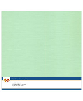 Card Deco Linen Cardstock 30,5x30,5 cm Middle Green (10pcs) (LKK-SC20)