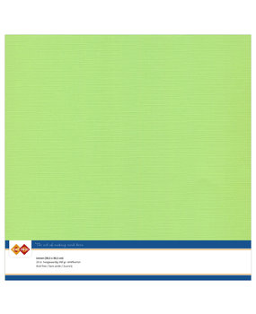 Card Deco Linen Cardstock 30,5x30,5 cm May Green (10pcs) (LKK-SC21)