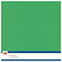 Linen Cardstock 30,5x30,5 cm Green (10pcs) (LKK-SC22) Linen Cardstock 30,5x30,5 cm Green (10pcs) (LKK-SC22)